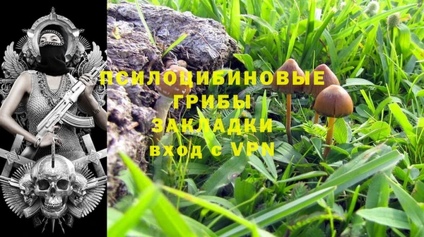 трава Богданович