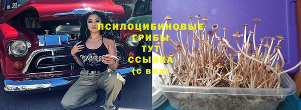 2c-b Богородск