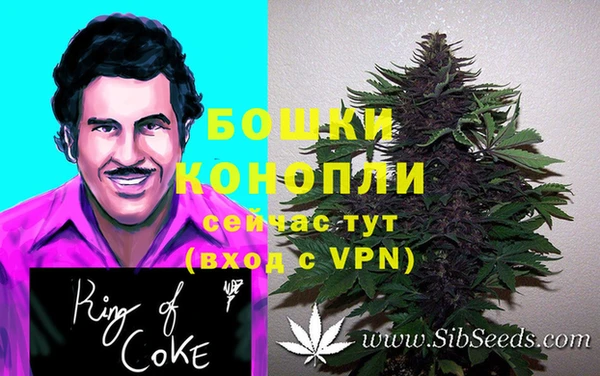 трава Богданович