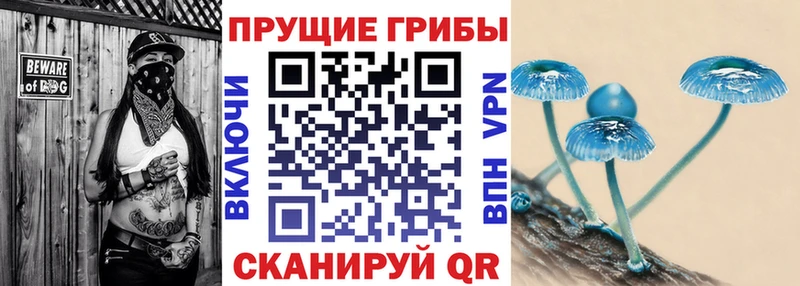 Галлюциногенные грибы мицелий  Пионерский 