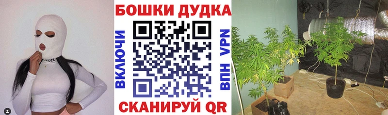 Канабис тримм где найти Пионерский